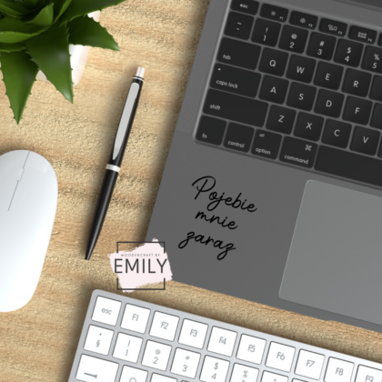 Naklejka POJEBIE MNIE